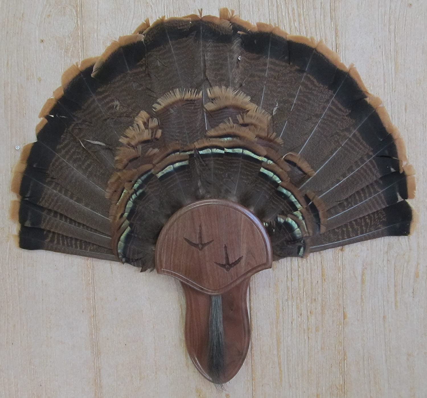 best turkey fan mount plaques