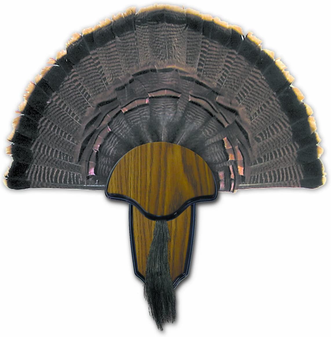 best turkey fan mount