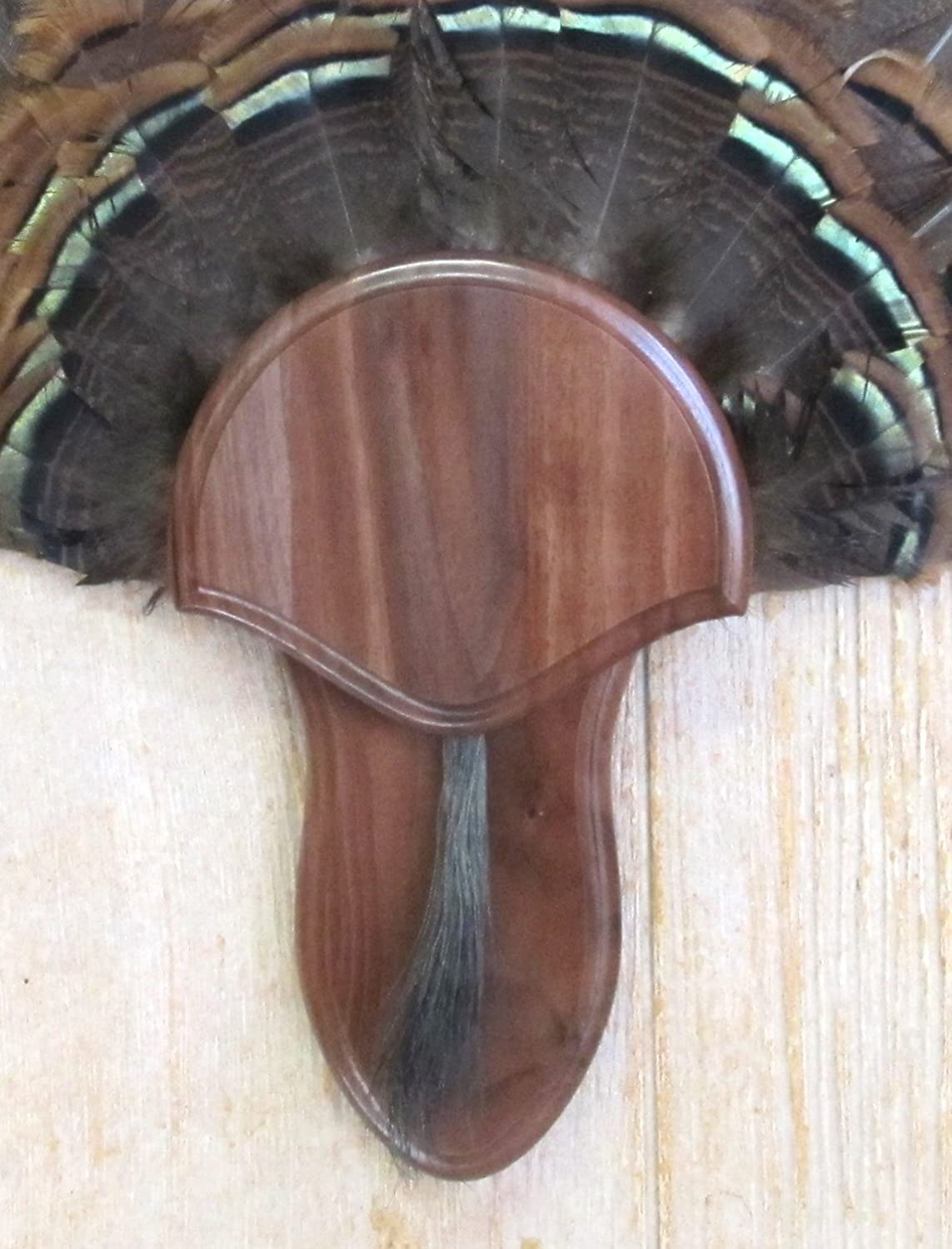 turkey tail fan and beard