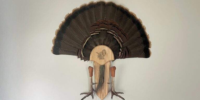 6-best-turkey-fan-mount-plaques