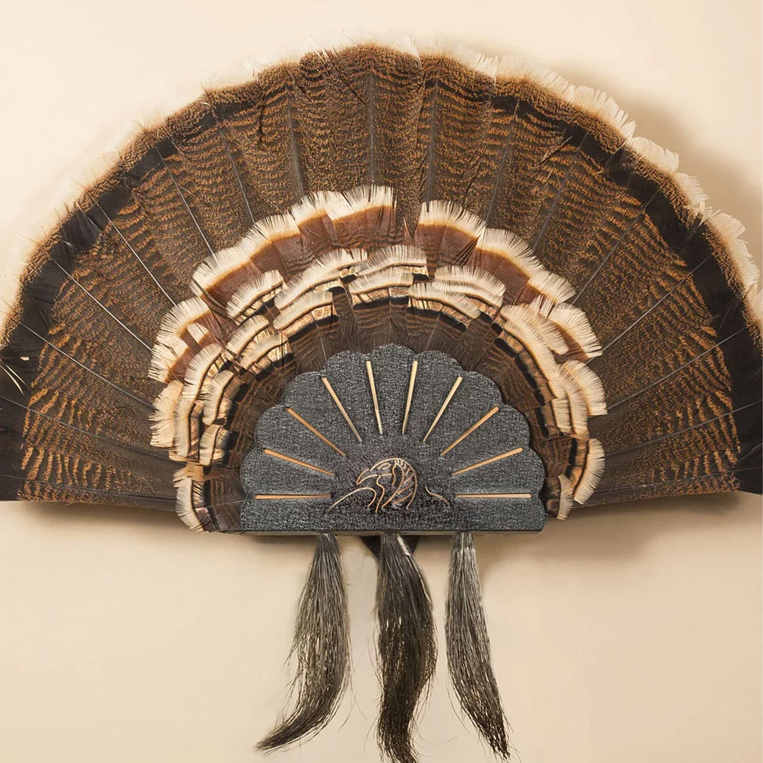 turkey fan mount plaques skull hooker