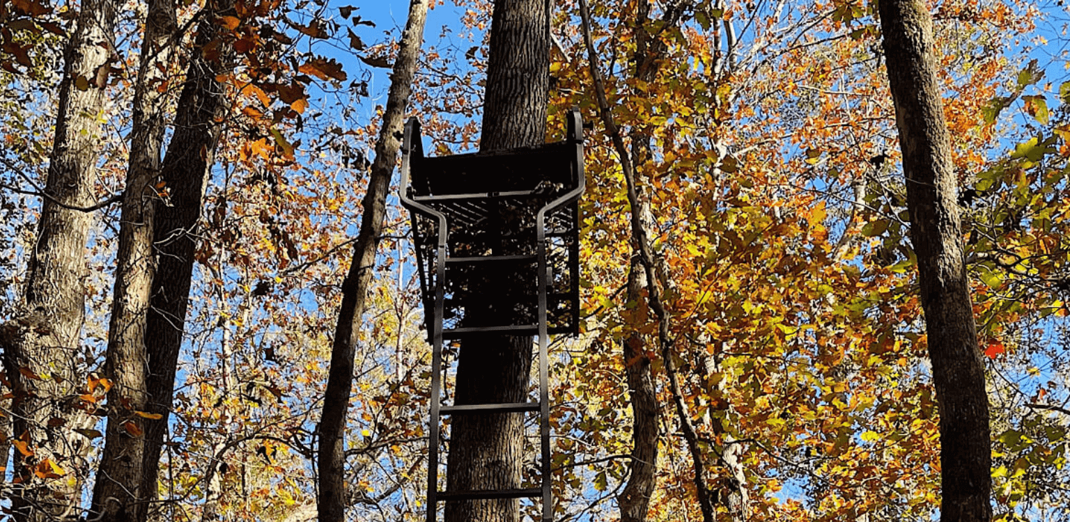 best ladder stands for hunting